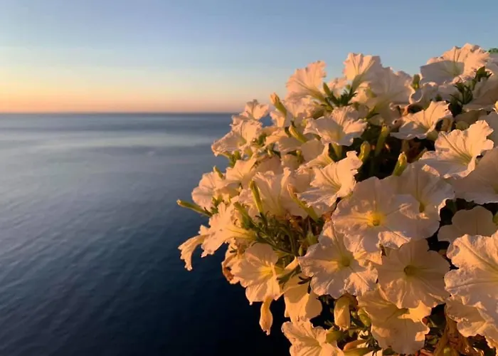 Un Nido Sul Mare