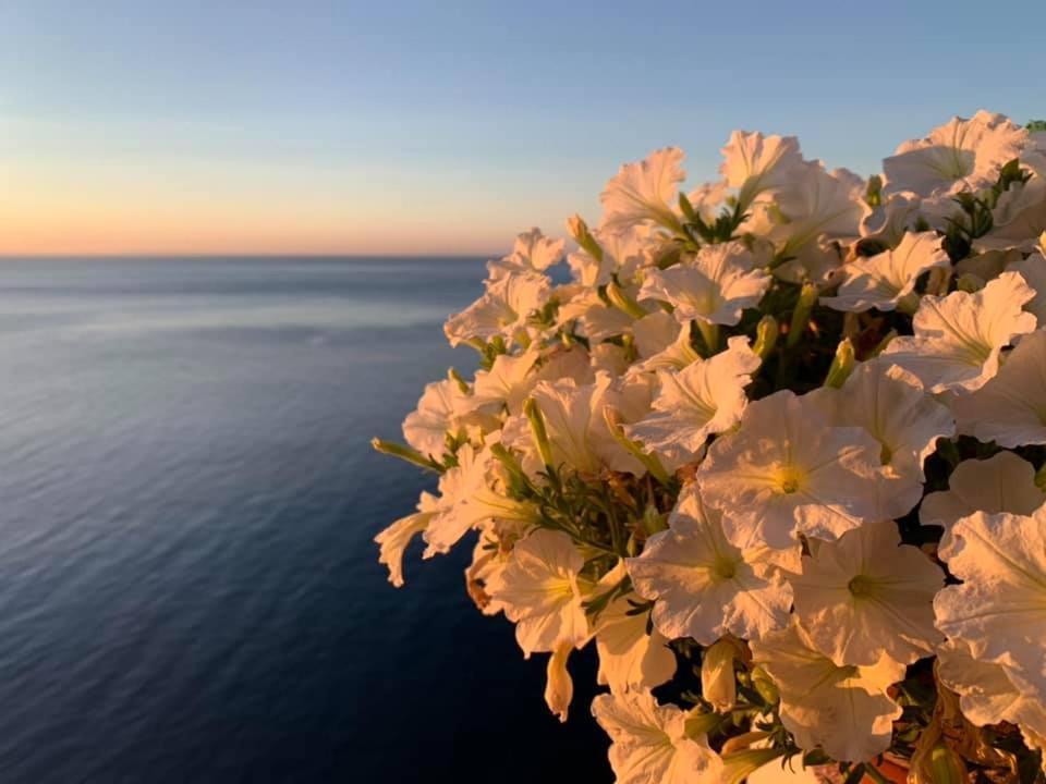 Un Nido Sul Mare * Rio Marina