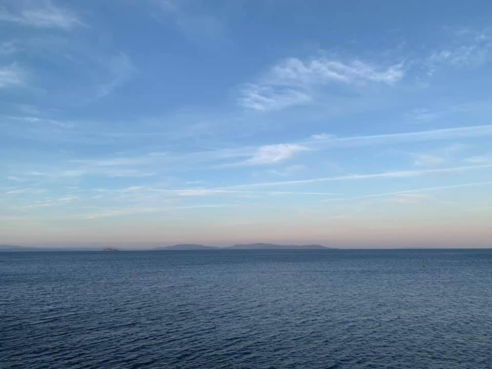 Un Nido Sul Mare